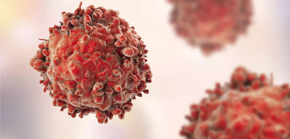 New Israeli Cancer Treatment Has a 100% Tumor Shrinkage Rate